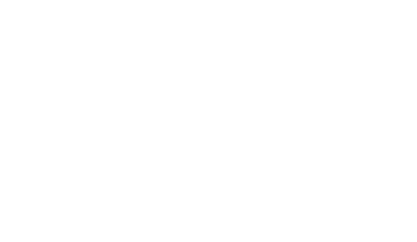 Taylor Film Festival — Best Documentary 2024